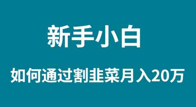 图片[1]-（9308期）新手小白如何通过割韭菜月入 20W-飓风网创资源站