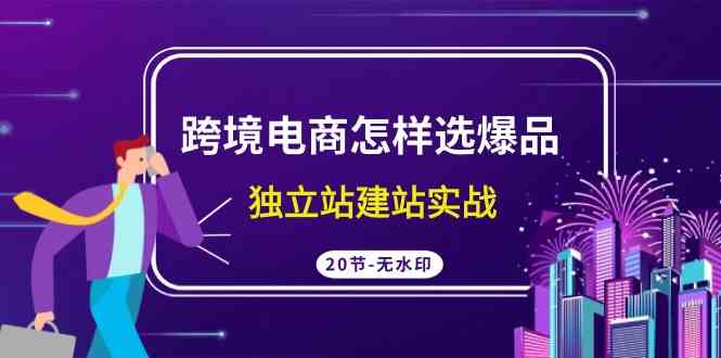 图片[1]-（9369期）跨境电商怎样选爆品，独立站建站实战（20节高清无水印课）-飓风网创资源站