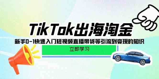 TikTok出海淘金，新手0-1快速入门短视频直播带货等引流到变现的知识-小哥网