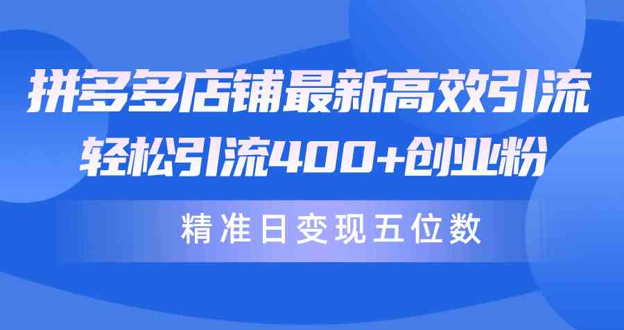 图片[1]-（10041期）拼多多店铺最新高效引流术，轻松引流400+创业粉，精准日变现五位数！-飓风网创资源站