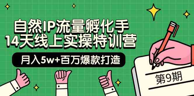 图片[1]-（9881期）自然IP流量孵化手 14天线上实操特训营【第9期】月入5w+百万爆款打造 (74节)-飓风网创资源站