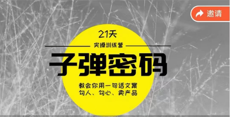 《子弹密码训练营》用一句话文案勾人勾心卖产品，21天学到顶尖文案大师策略和技巧-小哥网