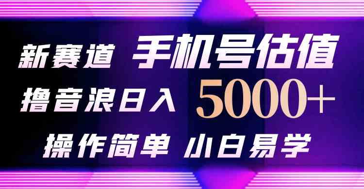 图片[1]-（10154期）抖音不出境直播【手机号估值】最新撸音浪，日入5000+，简单易学，适合…-飓风网创资源站