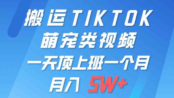 图片[1]-（9931期）一键搬运TIKTOK萌宠类视频 一部手机即可操作 所有平台均可发布 轻松月入5W+-飓风网创资源站