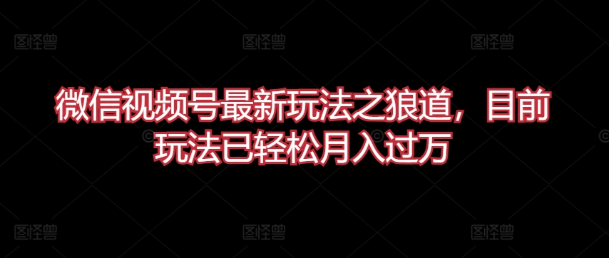 微信视频号最新玩法之狼道，目前玩法已轻松月入过万-小哥网