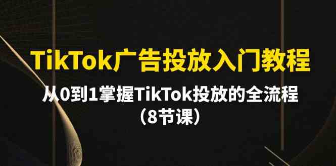 （10085期）TikTok广告投放入门教程，从0到1掌握TikTok投放的全流程（8节课）-小哥网