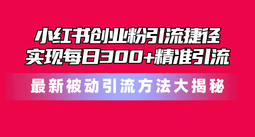 （10692期）小红书创业粉引流捷径！最新被动引流方法大揭秘，实现每日300+精准引流-小哥网