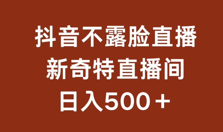 不露脸挂机直播，新奇特直播间，日入500+-时尚博客