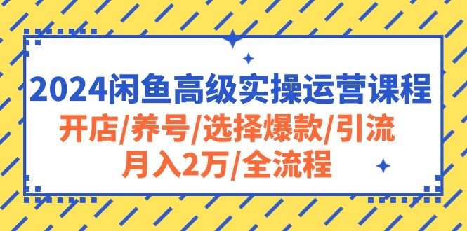 （10711期）2024闲鱼高级实操运营课程：开店/养号/选择爆款/引流/月入2万/全流程-小哥网