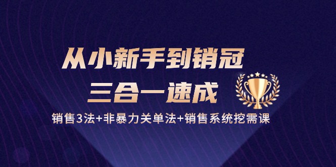 （10799期）从小新手到销冠 三合一速成：销售3法+非暴力关单法+销售系统挖需课 (27节)-时尚博客