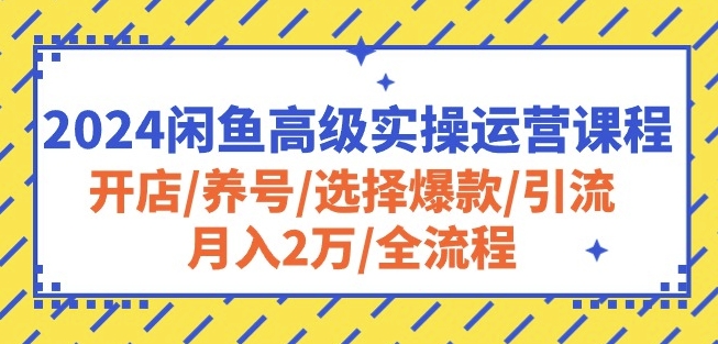 2024闲鱼高级实操运营课程：开店/养号/选择爆款/引流/月入2万/全流程-小哥网