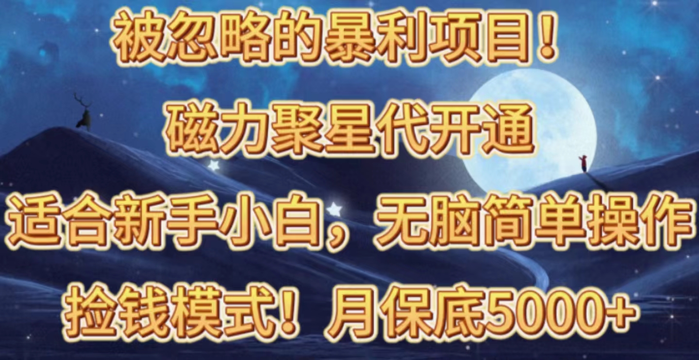 （10245期）被忽略的暴利项目！磁力聚星代开通捡钱模式，轻松月入五六千-小哥网