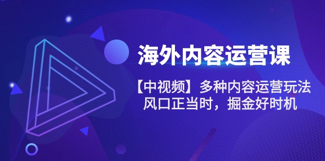 图片[1]-（10833期）海外内容 运营课【中视频】多种内容运营玩法 风口正当时 掘金好时机-101节-飓风网创资源站