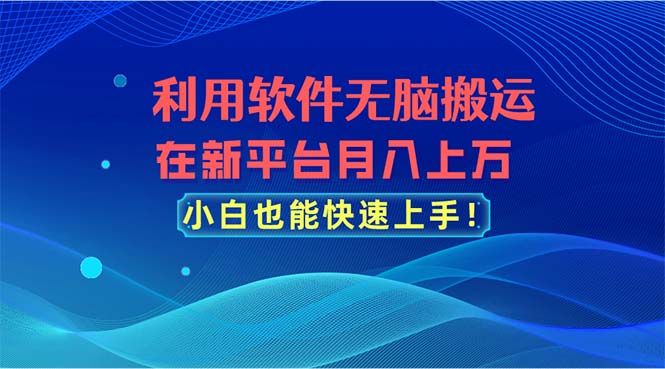 利用软件无脑搬运，在新平台月入上万，小白也能快速上手-小哥网