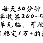 每天30分钟，一单收益200~500，简单无脑，可批量放大，每月稳定1万+