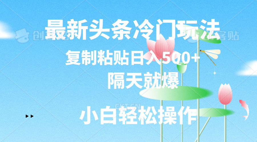 最新头条冷门玩法，隔天就爆，复制粘贴日入500+-小哥网