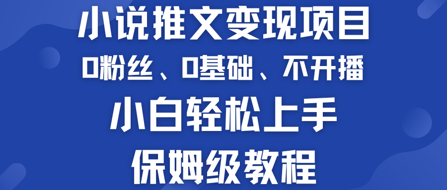 小说推文变现项目 0基础 不开播 小白轻松上手 保姆级教程-小哥网