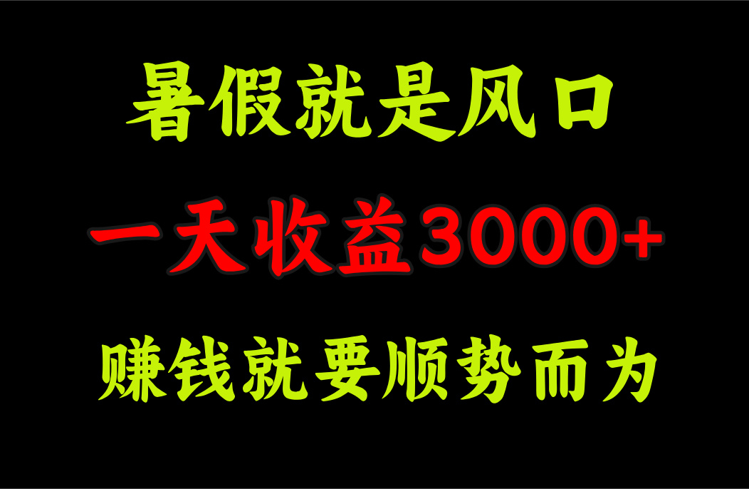 一天收益3000+ 赚钱就是顺势而为，暑假就是风口-小哥网