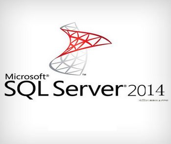 Microsoft SQL Server 2014企业版-小哥网