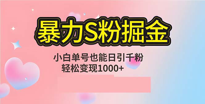 单人单机日引千粉，变现1000+，S粉流量掘金计划攻略-小哥网