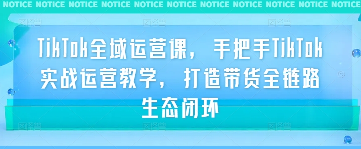 TikTok全域运营课，手把手TikTok实战运营教学，打造带货全链路生态闭环-小哥网