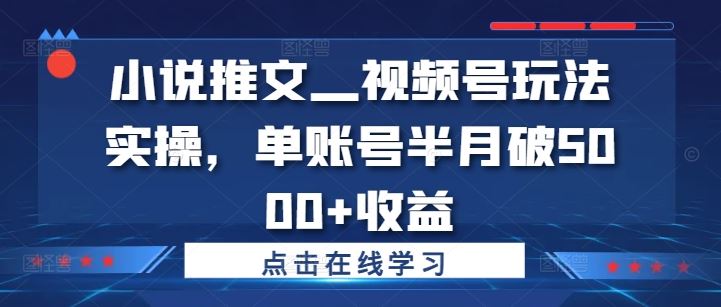 小说推文—视频号玩法实操，单账号半月破5000+收益-可创副业网