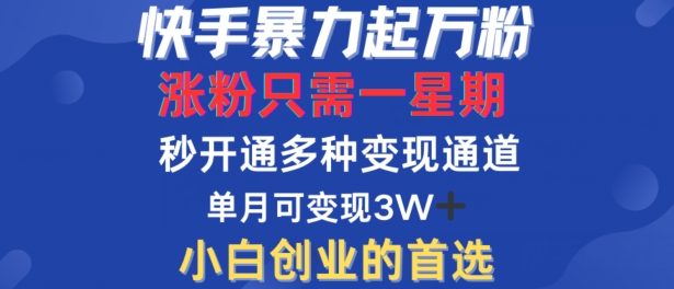 快手暴力起万粉，涨粉只需一星期，多种变现模式，直接秒开万合，单月变现过W【揭秘】-小哥网