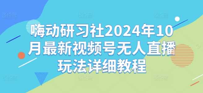 嗨动研习社2024年10月最新视频号无人直播玩法详细教程-小哥网