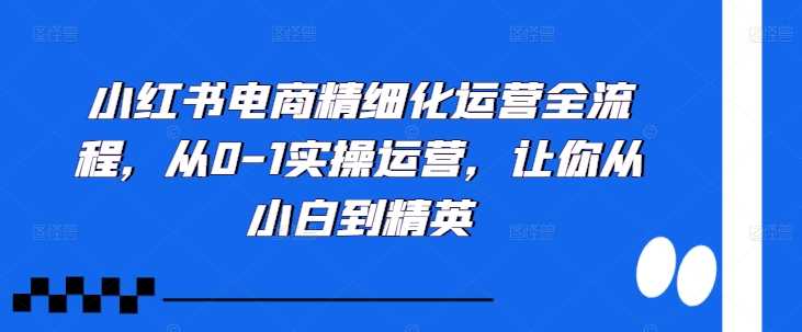 小红书电商精细化运营全流程，从0-1实操运营，让你从小白到精英-小哥网