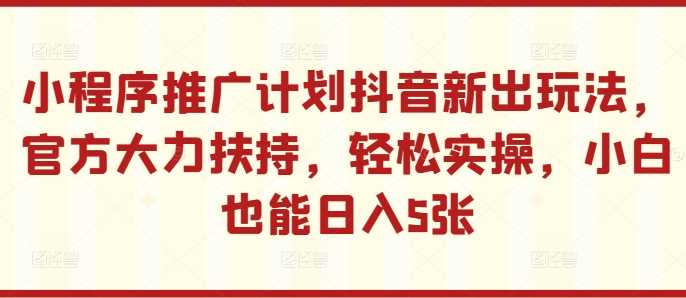 小程序推广计划抖音新出玩法，官方大力扶持，轻松实操，小白也能日入5张【揭秘】-小哥网