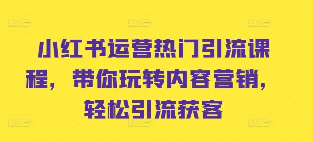 小红书运营热门引流课程，带你玩转内容营销，轻松引流获客-小哥网