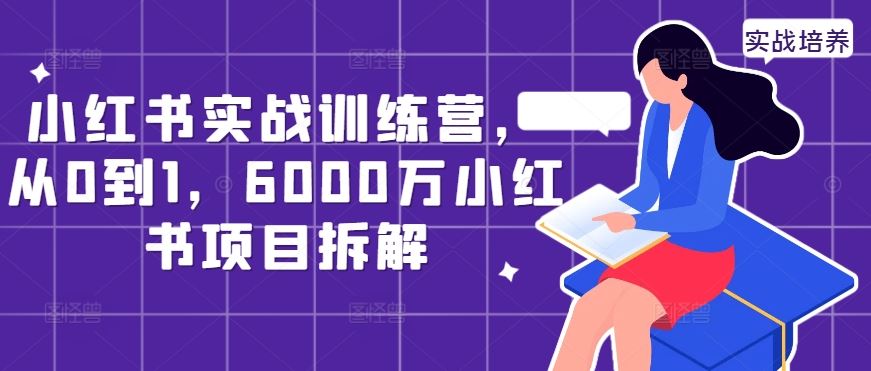 小红书实战训练营，从0到1，6000万小红书项目拆解-热爱者网创