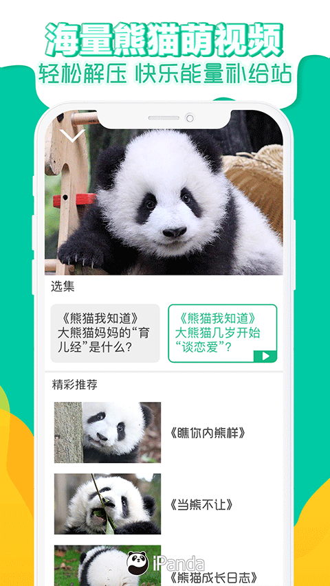 图片[4]-ipand熊猫频道app v2.3.1安卓版-小哥网