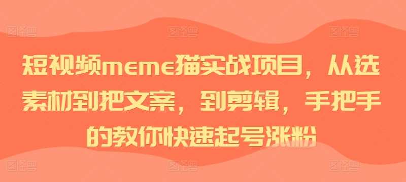 短视频meme猫实战项目，从选素材到把文案，到剪辑，手把手的教你快速起号涨粉-小哥网